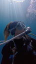 Cinta Whale Shark [Wear the ocean]