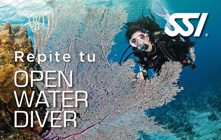 Repite tu Open Water Diver SSI (Teoría + Piscina)