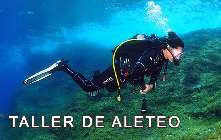 Taller Aleteo