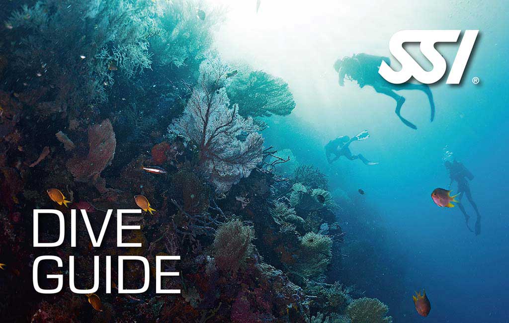 Curso Dive Guide SSI