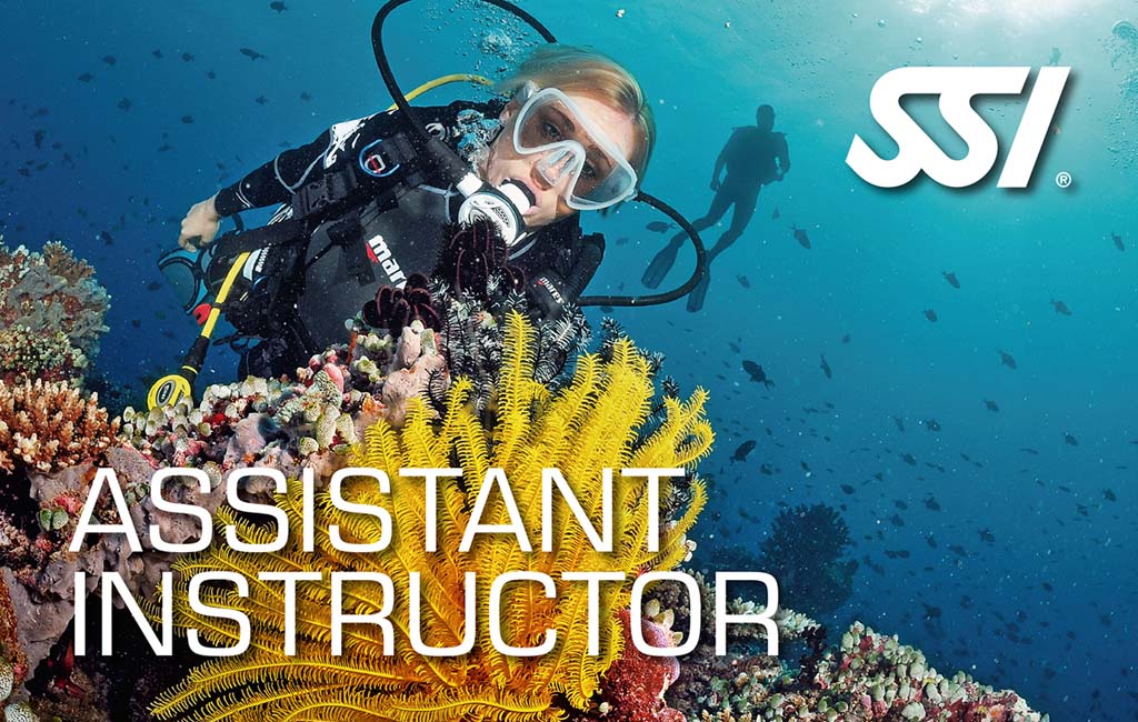 Curso Asistente de Instructor SSI [SR]