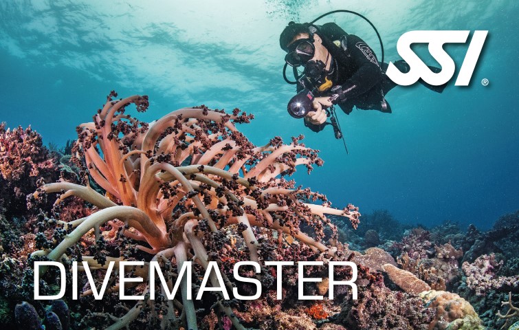 Divemaster [SR]