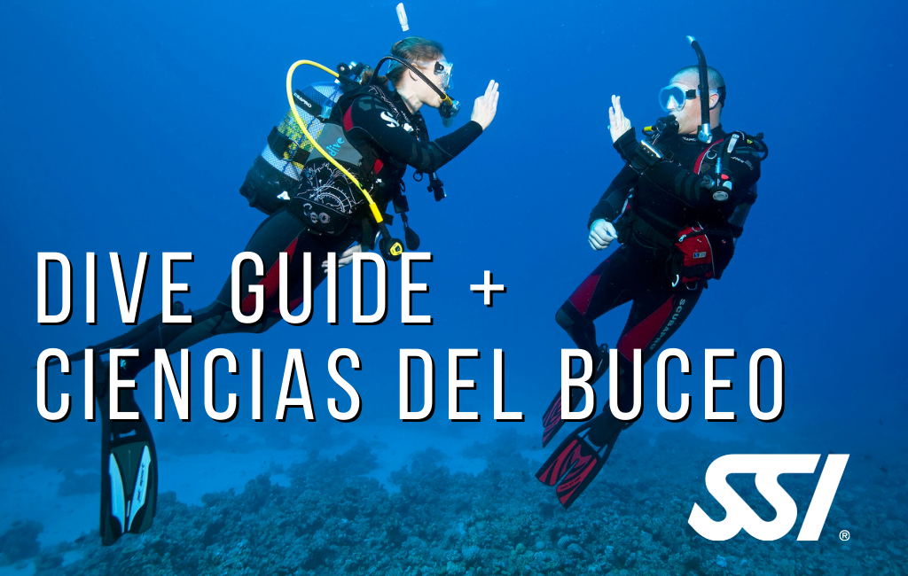 Curso Dive Guide + Ciencias del buceo SSI [SR]