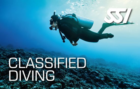 Classified Dive Buddy  (Buceo Adaptado) [SR]