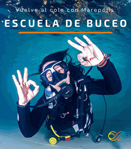 Escuela de Buceo. Búsqueda y Recuperación.