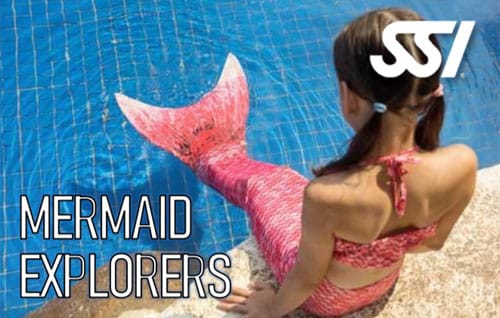 Mermaid Explorer [SR]