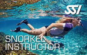 Snorkel Diver