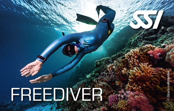 Curso Apnea SSI Nivel Freediver con fecha