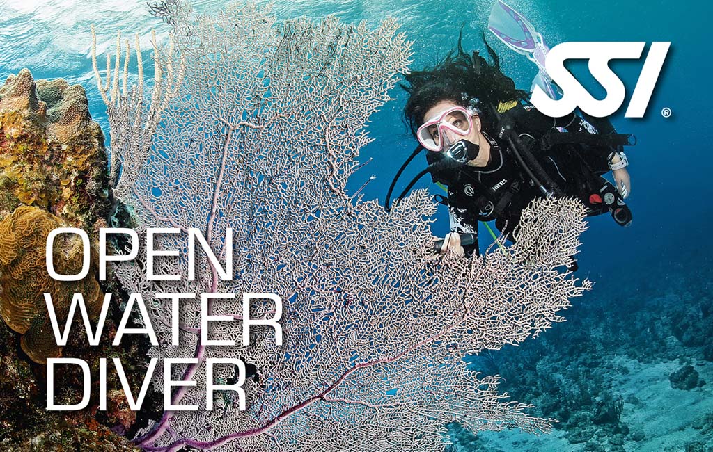 Referal Open Water Diver SSI (Teoría + Piscina)